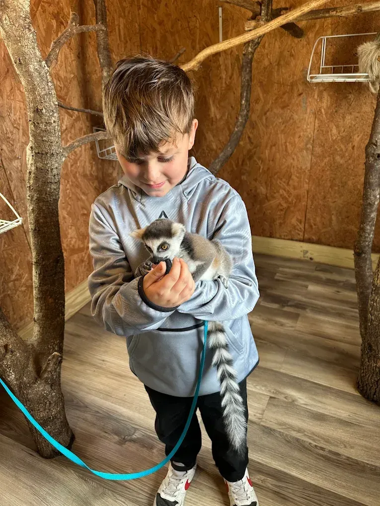 Child crouching by a fence, feeding goats with a carrot in a petting zoo.
