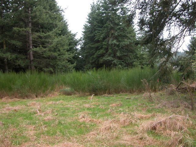 Land Clearing Skagit County