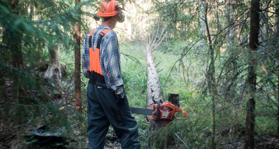 tree service Matthews, NC