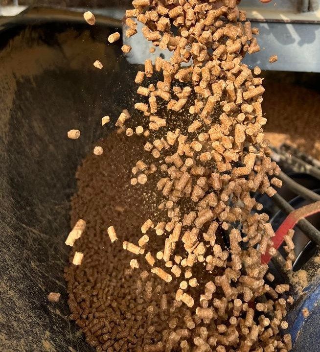 A Pile Of Brown Pellets Is Being Poured Into A Container — Prostoc In Port Macquarie, NSW