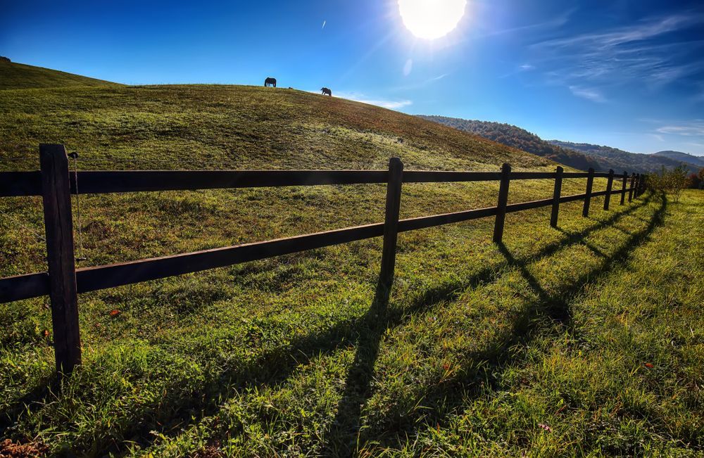 Wooden Fence Is In The Middle Of A Grassy Field — Prostoc In Willawarrin, NSW
