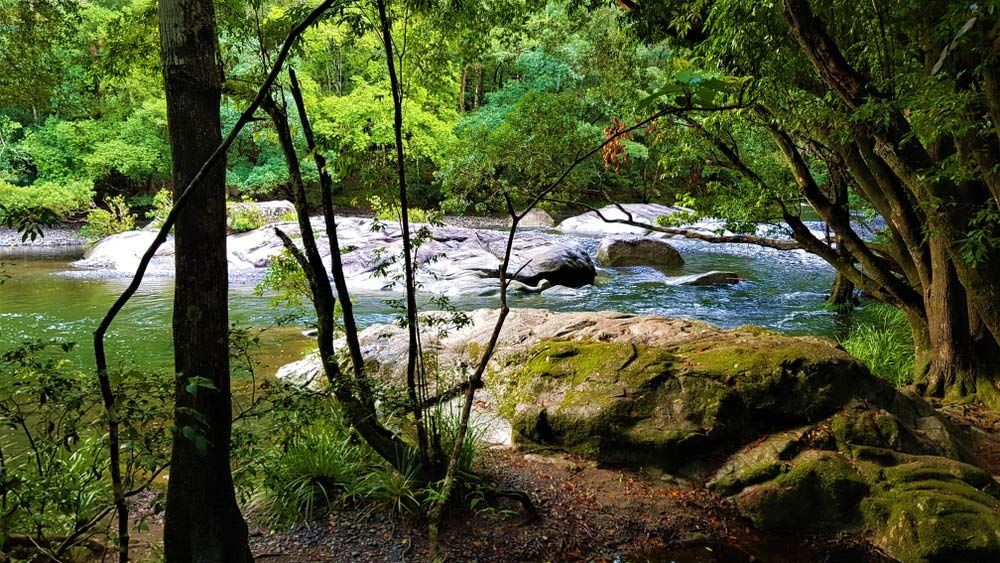 Bellingen Promised Land River — Prostoc In Bellingen, NSW