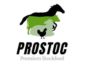 Prostoc—Quality Stockfeed in Kempsey