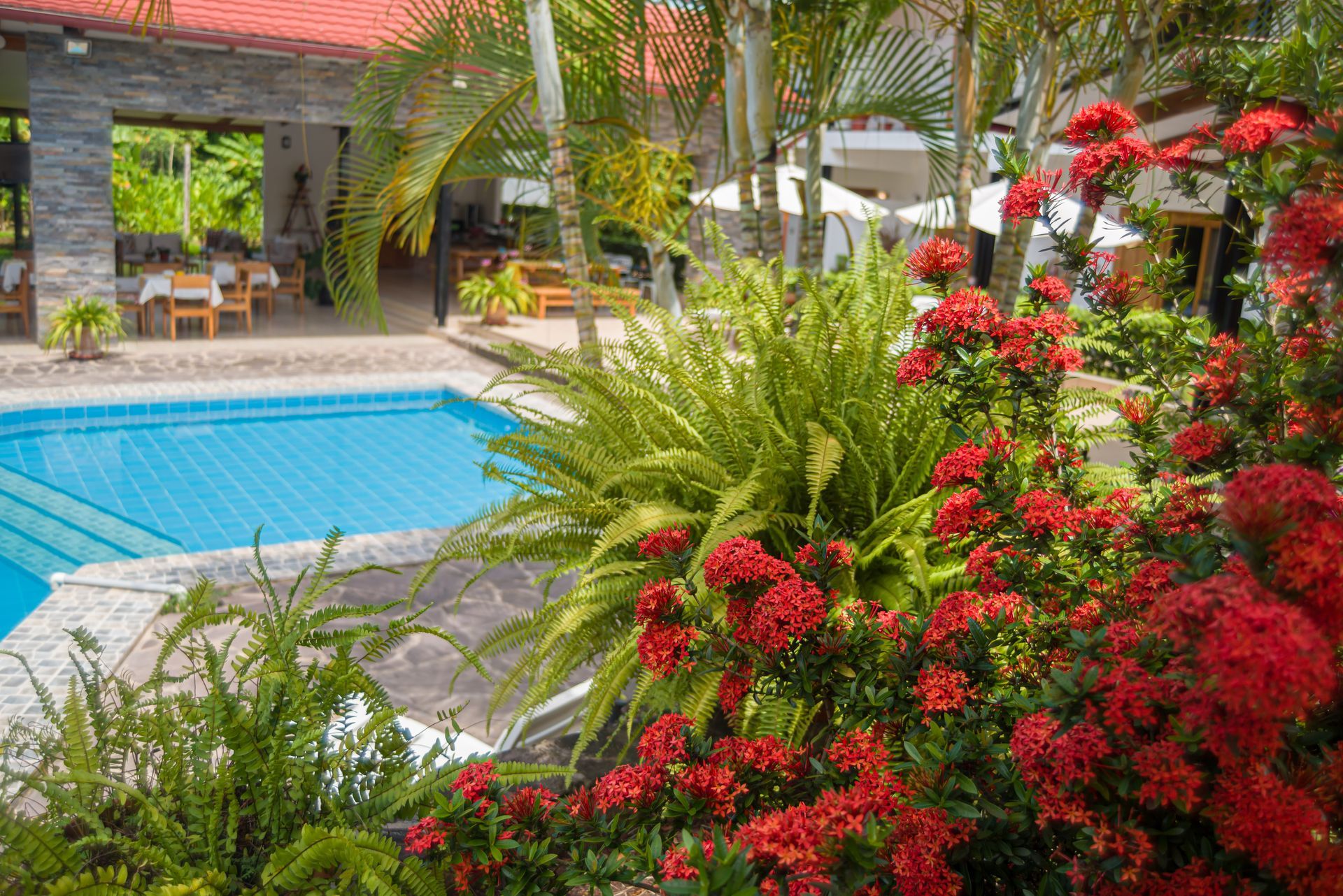 Piscina rodeada de flores rojas, exuberante vegetación y zona de estar al aire libre.