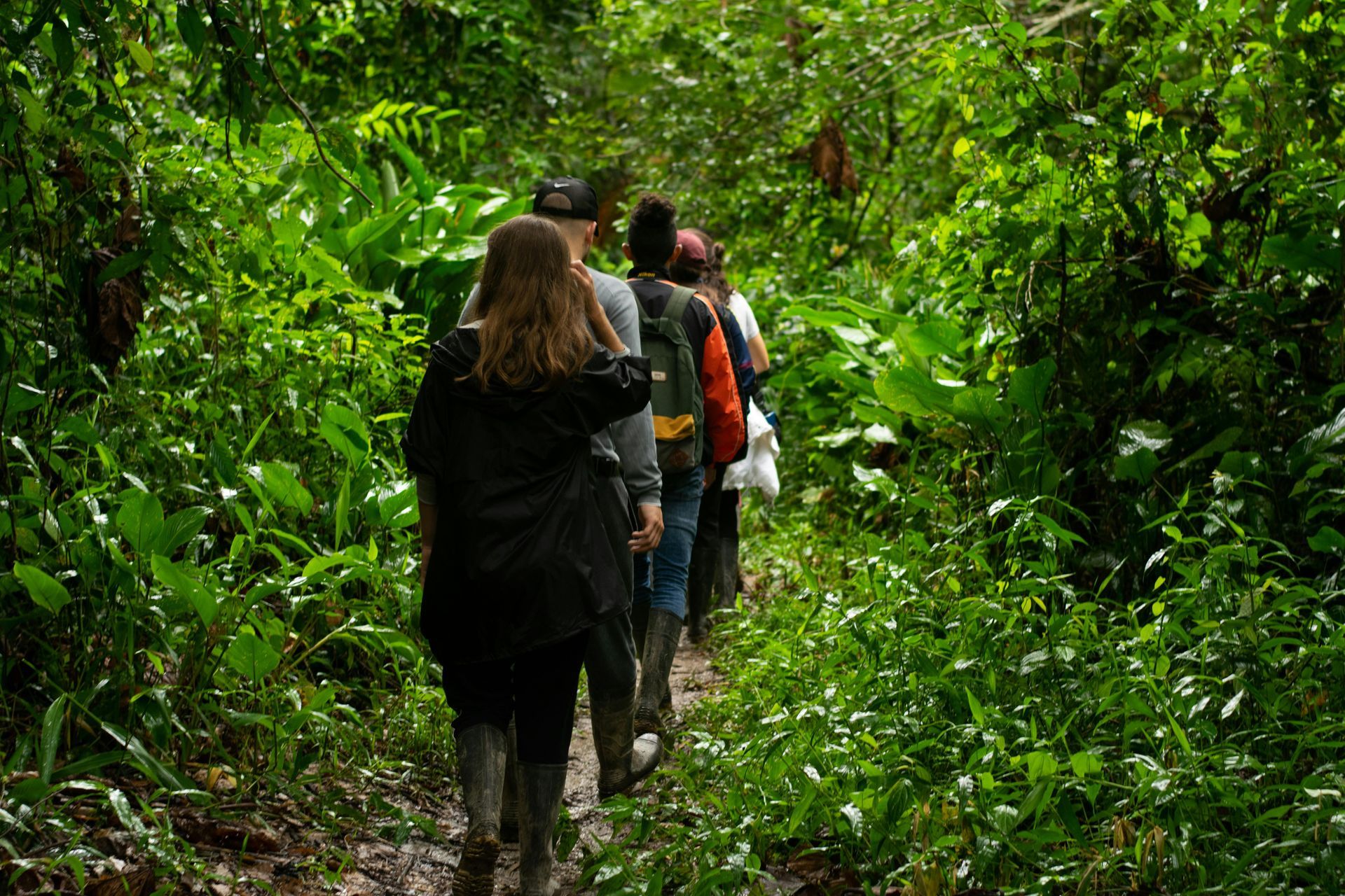 Personas caminando en fila india por un sendero verde y exuberante de selva tropical.