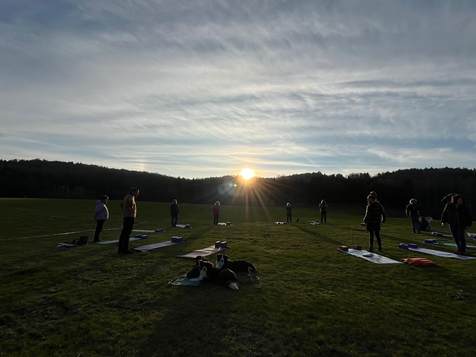 Sommerspecial Wiesenyoga am Waldrand