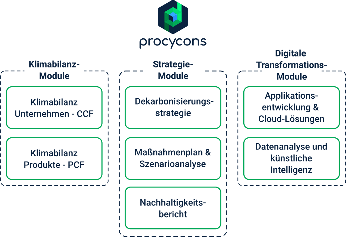 Procycons Dienstleistungen