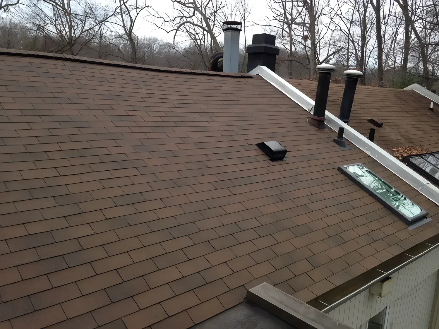 Brown shingled roof with chimneys and skylight against a background of bare trees.