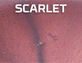 Scarlet