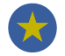 Star Icon