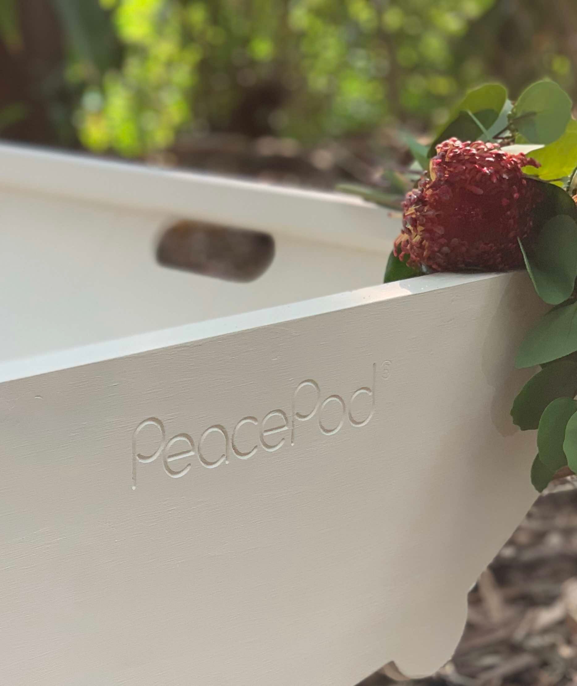 A close up image of a PeacePod shroud bearer tray with an Australian native flower resting on the top of the tray.