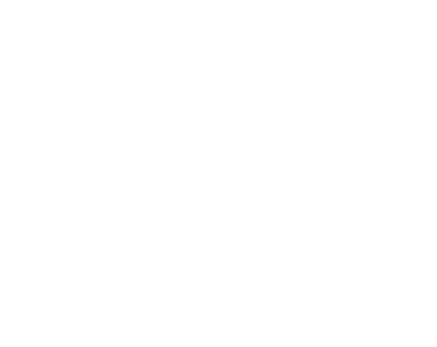 A line drawing of a single native wildflower on a transparent background