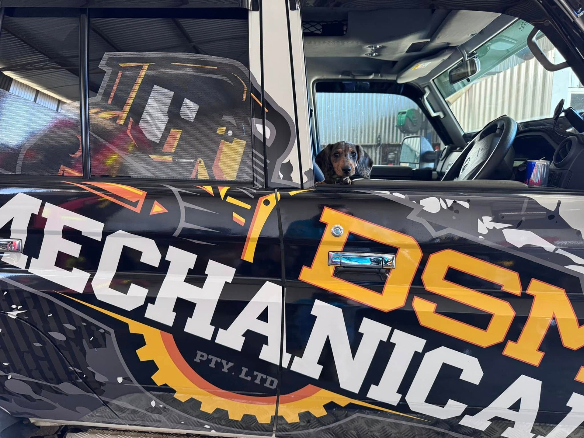 Dachshund dog looking out the window of a vehicle with 