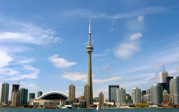 A city skyline with the cn tower in the foreground