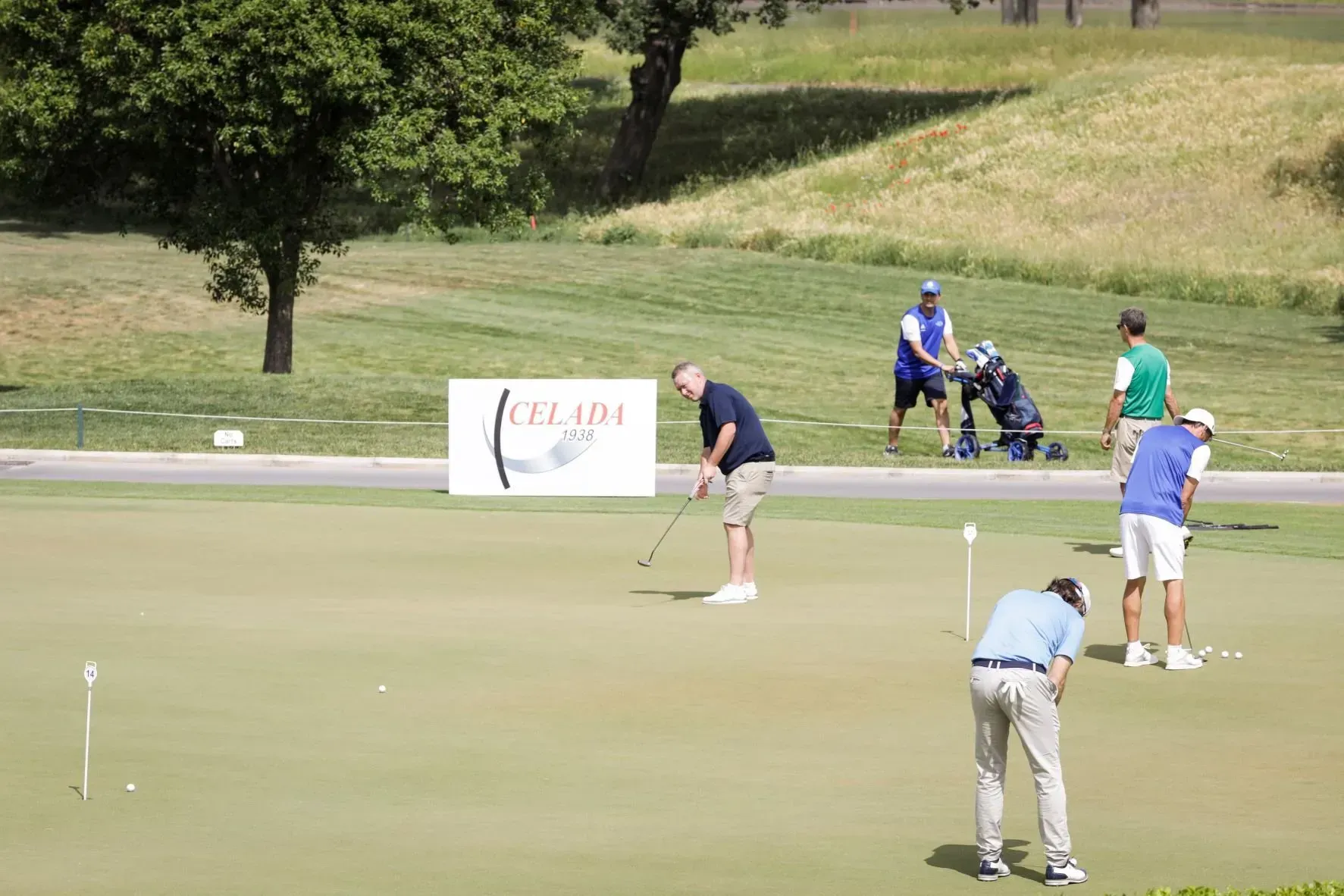 Golfisti che si allenano in una giornata verde e soleggiata. Un golfista in bianco, gli altri in blu e verde. Campo da golf.