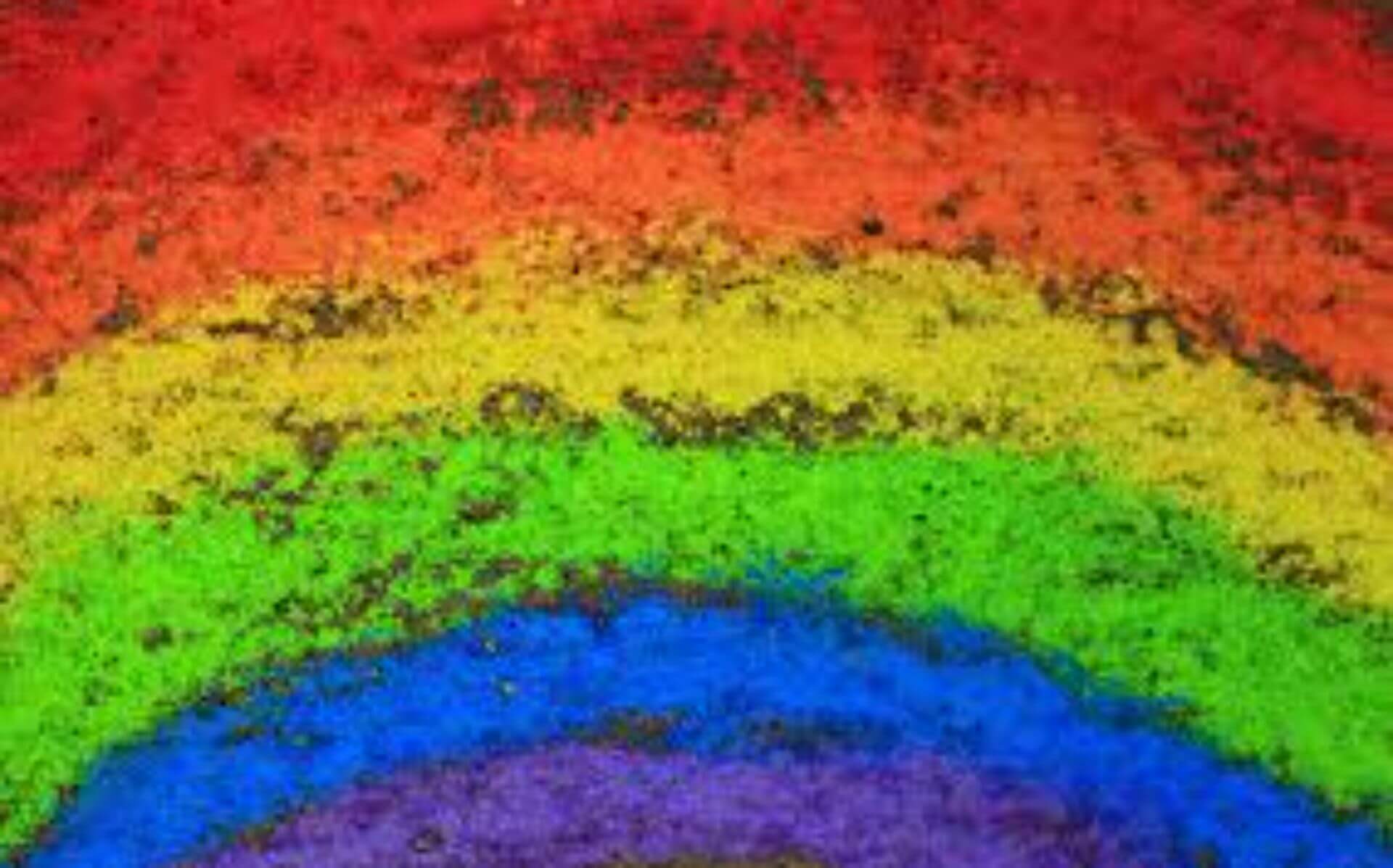 attività dello studio