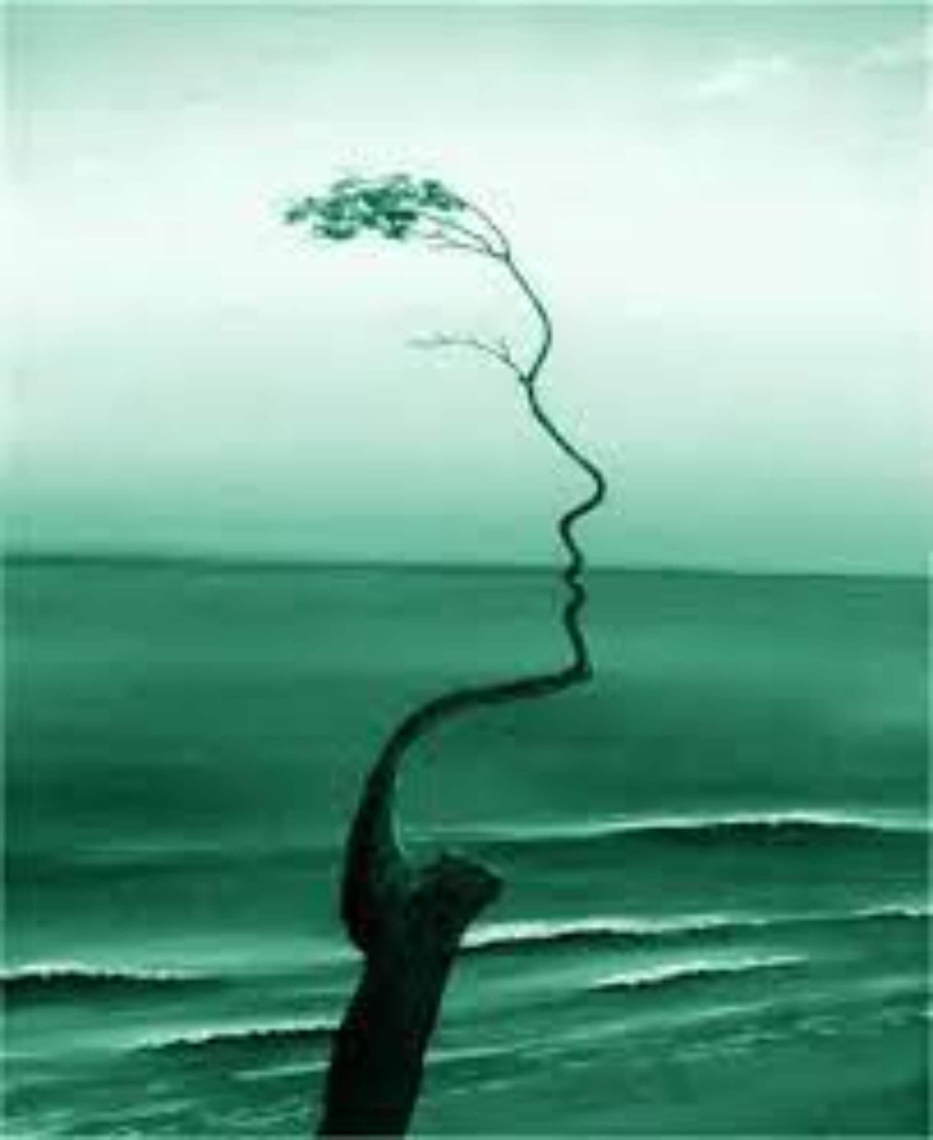 attività dello studio