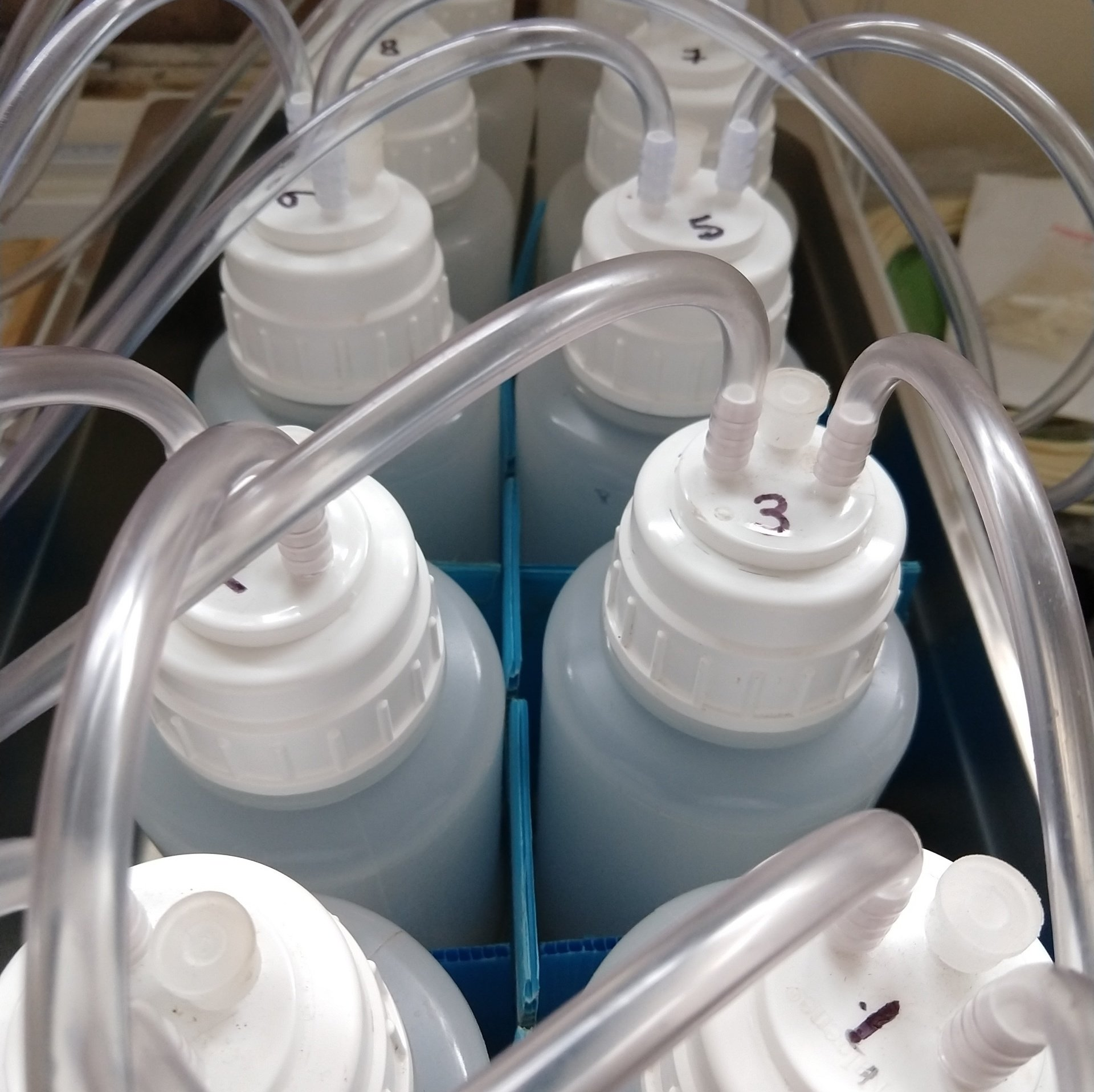 ORG0020 compost stability compared to Dewar self heating and oxygen update rate tests