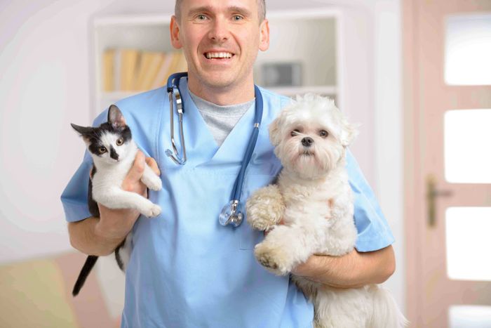 A veterinarian is holding a dog and a kitten in his arms.