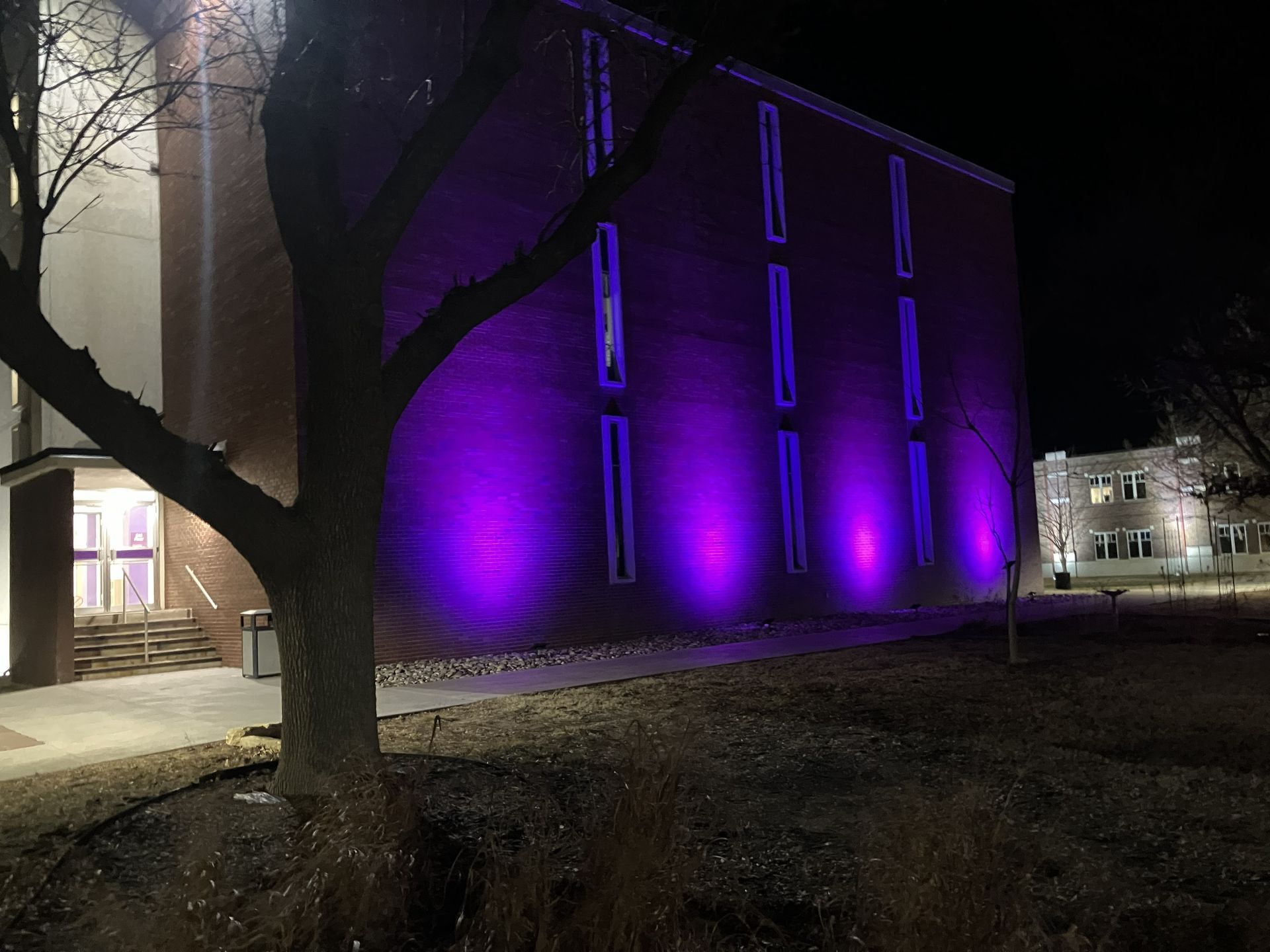 Brick building lit with purple lights at night, with a tree in front and a lit doorway on the left.