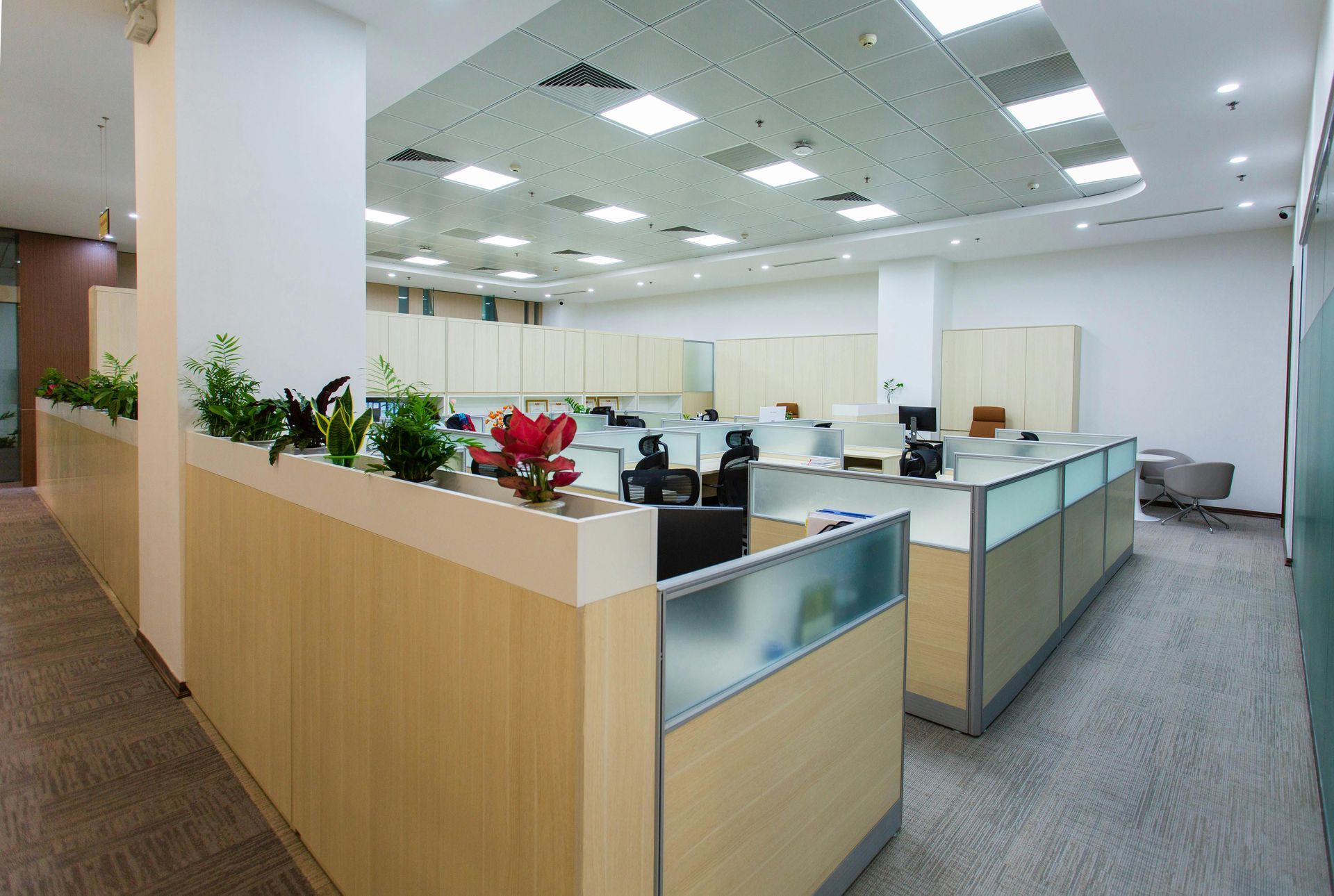 Bright open office cubicles with desks, plants, and fluorescent ceiling lights