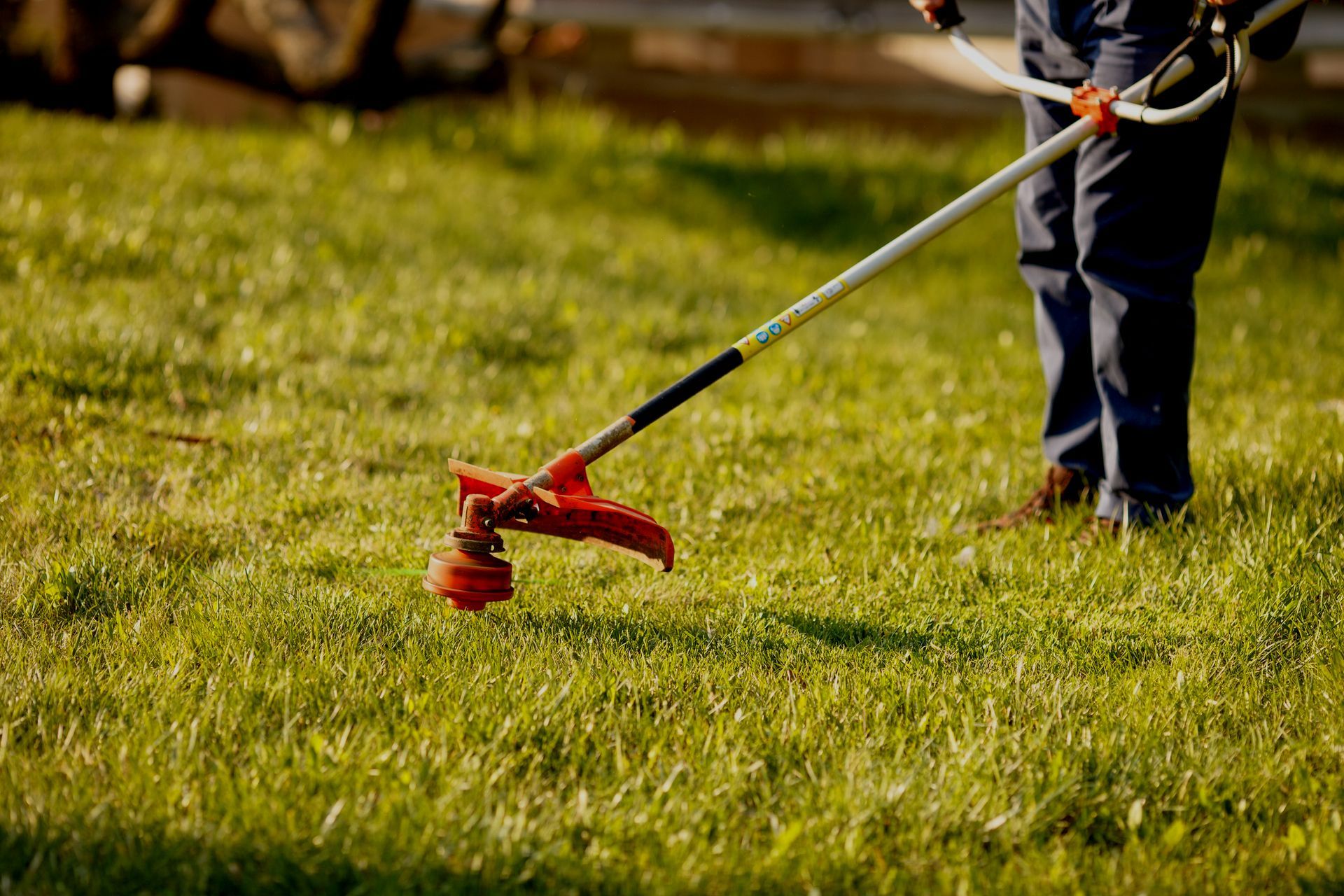 weedwacker/weedeater