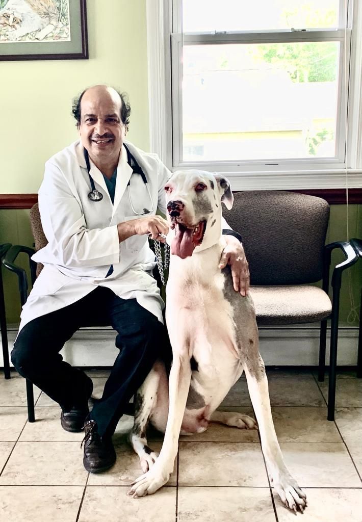 A doctor is sitting on a chair next to a dog.