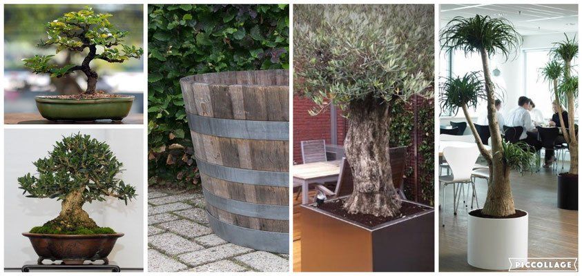 Interieurontwerp_Interieuradvies_Arnhem_Kantoorpand_Overmorgen_Amersfoort_beplanting