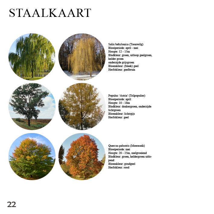 Interieurontwerp_Interieuradvies_Arnhem_Stadstuin_Tuinontwerp_Deventer_stadspark planten