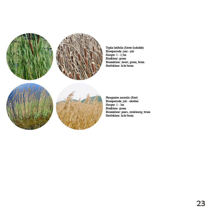 Interieurontwerp_Interieuradvies_Arnhem_Stadstuin_Tuinontwerp_Deventer_stadspark planten