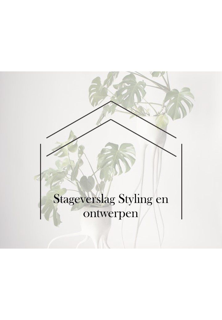 portfolio_ontwerp_interieuradvies_Stage Kok Wooncenter