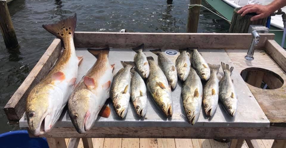A bunch of fish are sitting on top of a wooden table.