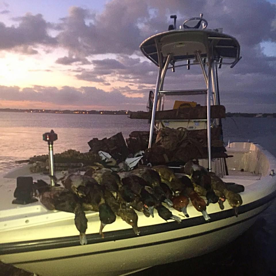 A boat filled with ducks is docked in the water at sunset.