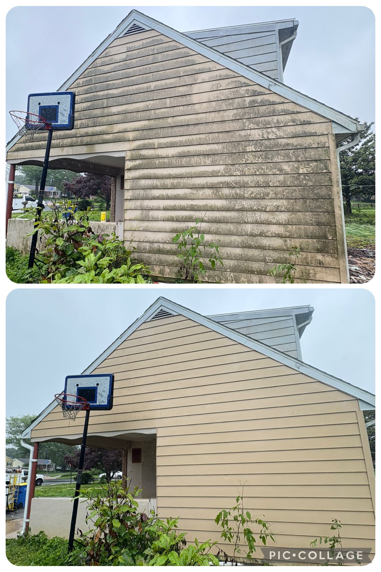 Comparison: A before and after of a house with siding; stained before and cleaned after.