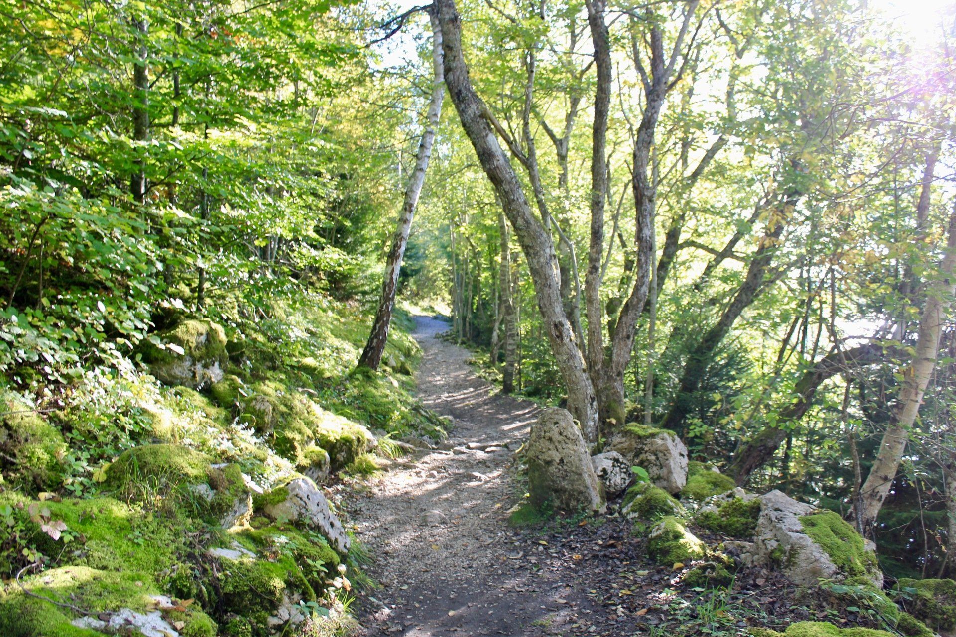 santiers vallée de joux