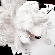 White feathered decorative item with black-tipped accents on a white background