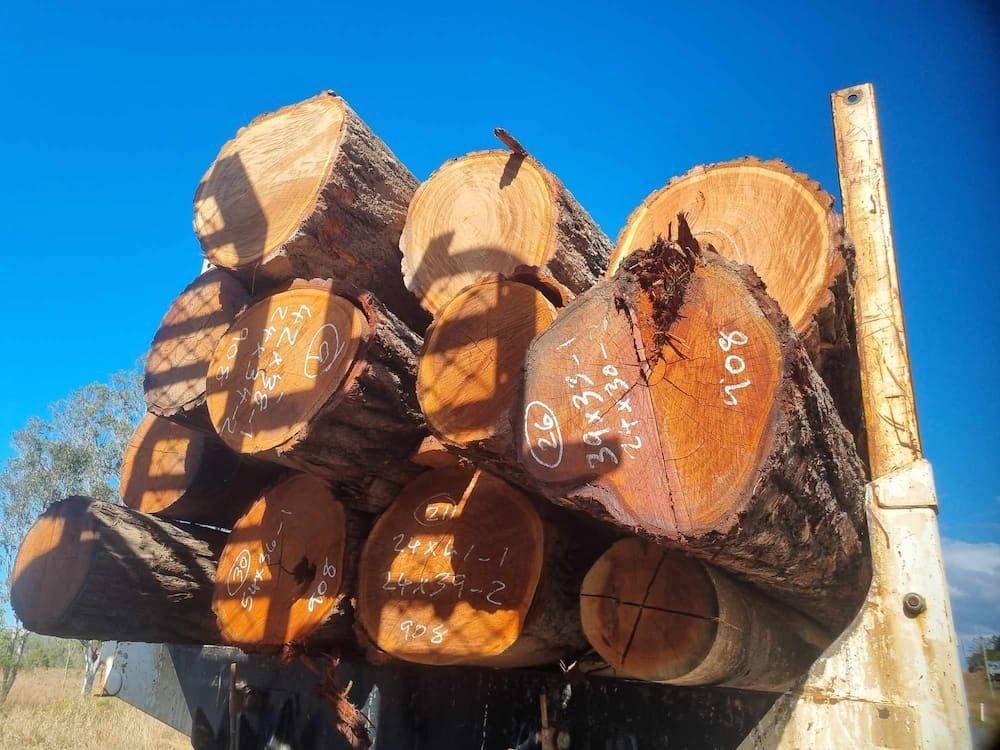 A Pile Of Logs With The Number 408 On Them — Eungella Sawmill In Crediton, QLD