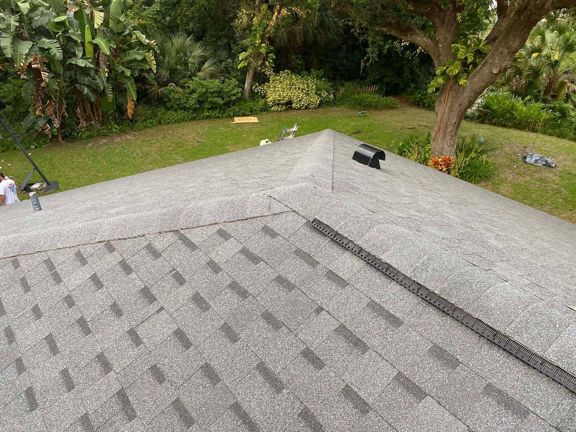 A roof with a tree in the background is being repaired.