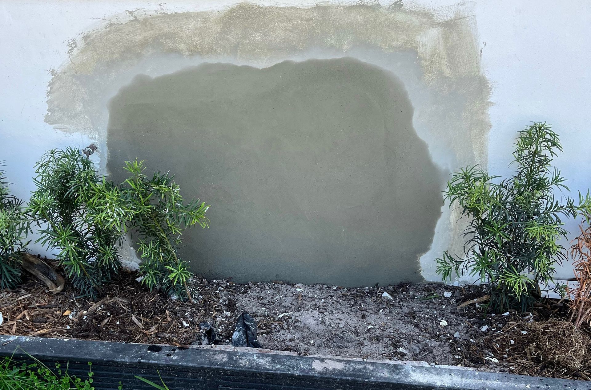 A hole in the side of a building with plants around it