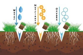 A diagram showing nutrients and oxygen flowing through grass