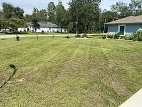 A lush green lawn with a blue house in the background.