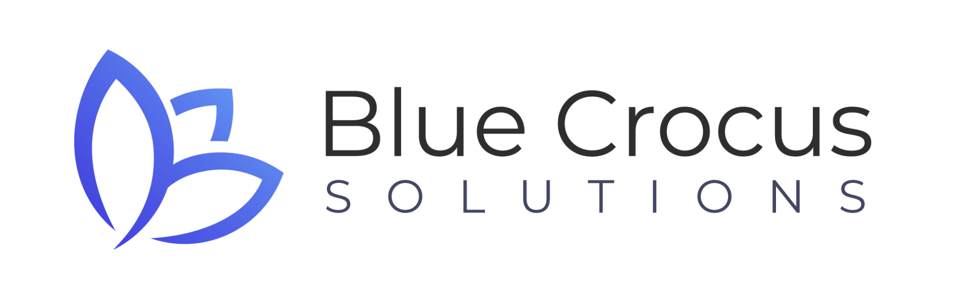 SPARKNB Sponsors, Blue Crocus Solutions, SPARKMB
