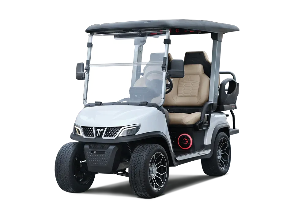 White and gray golf cart with black tires, canopy, and two tan seats.
