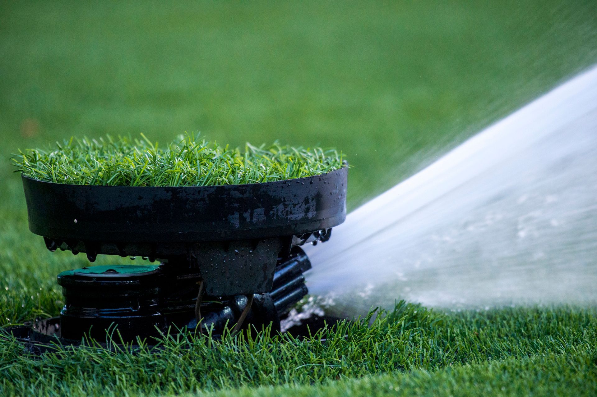 A sprinkler is spraying water on a lush green lawn.