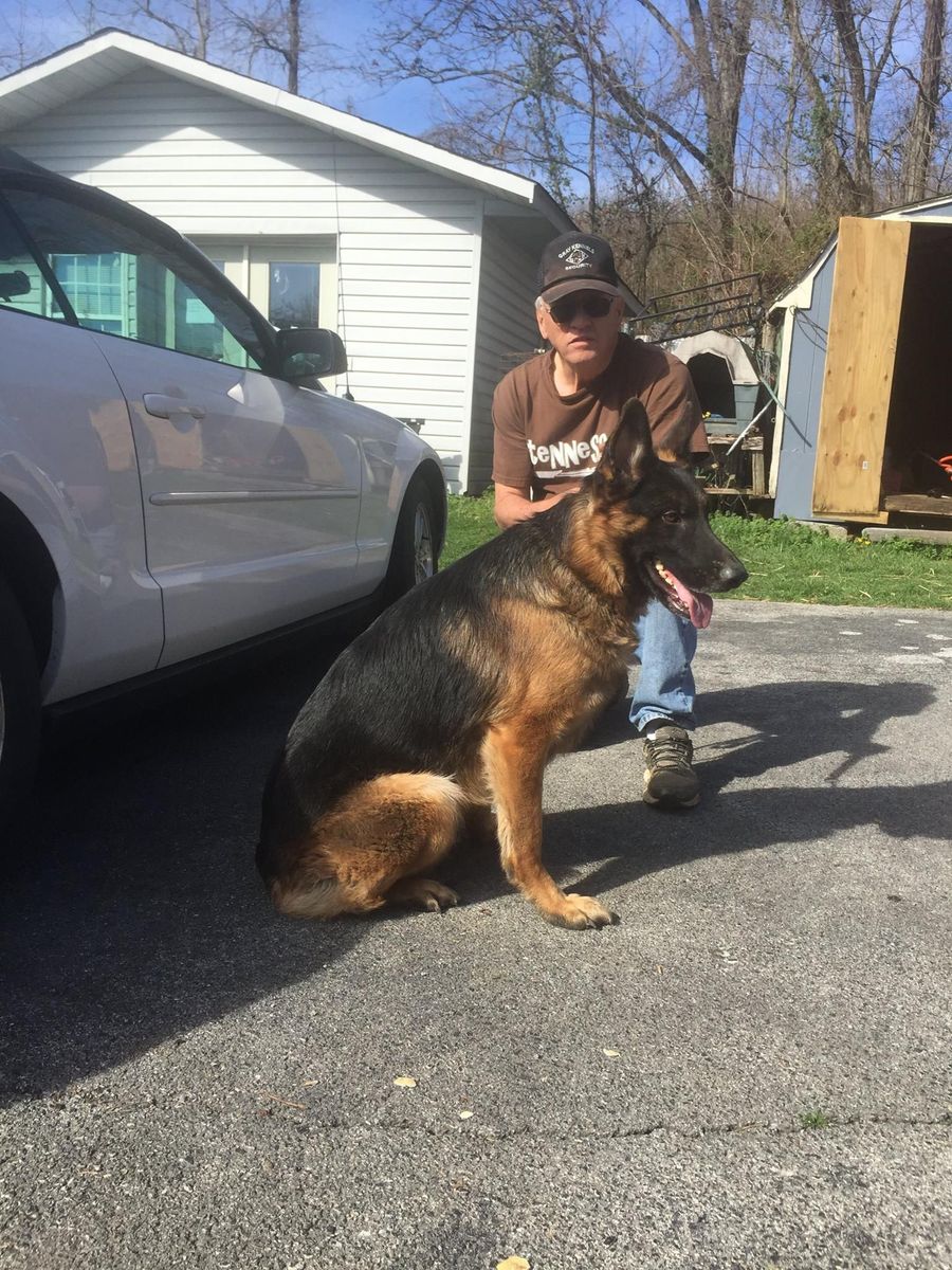 Man kneels beside a large German Shepherd on a driveway next to a white car and garage.