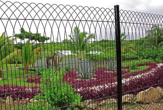 Una valla de alambre negro rodea un exuberante jardín verde.