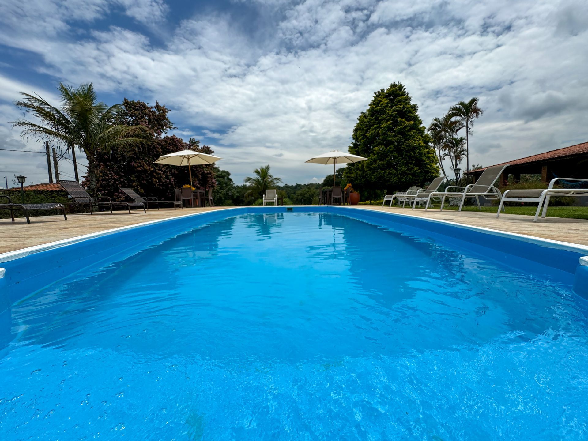 Piscina azul com palmeiras e espreguiçadeiras sob um céu nublado.