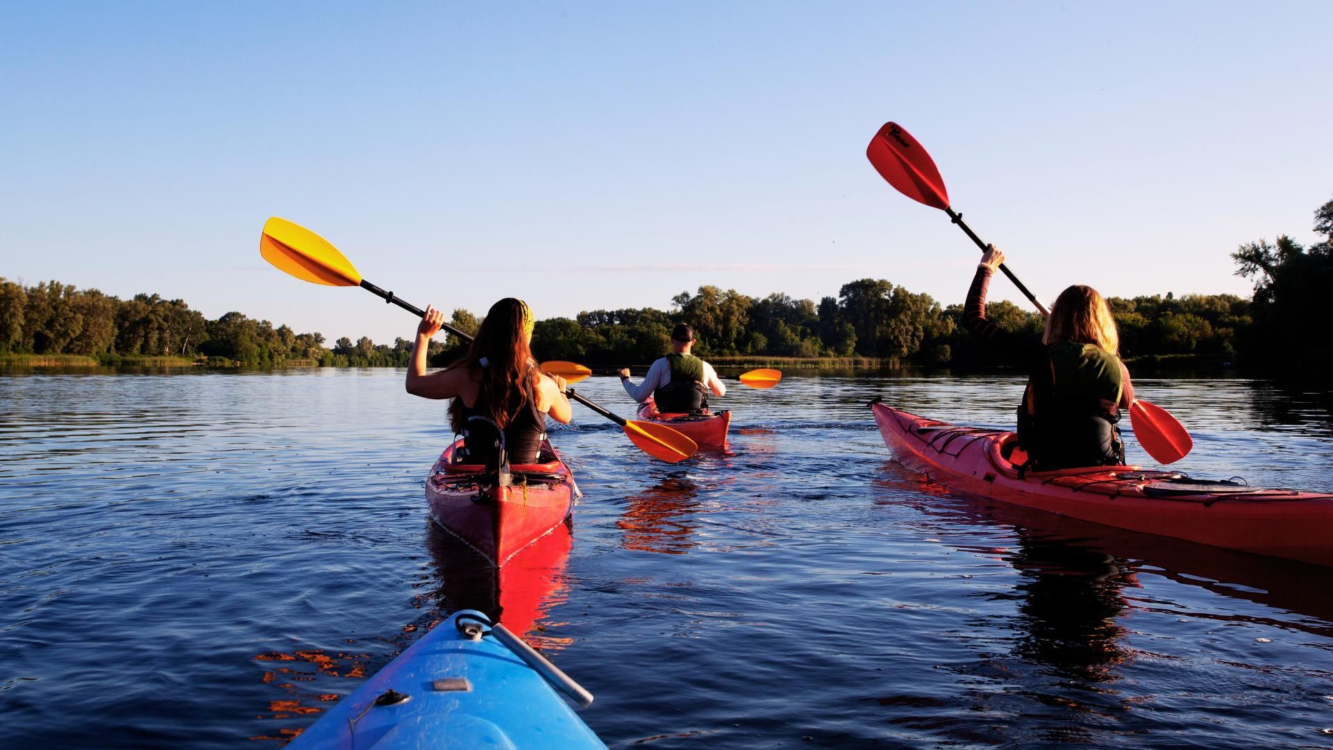 A group of people are paddling kayaks on a lake.