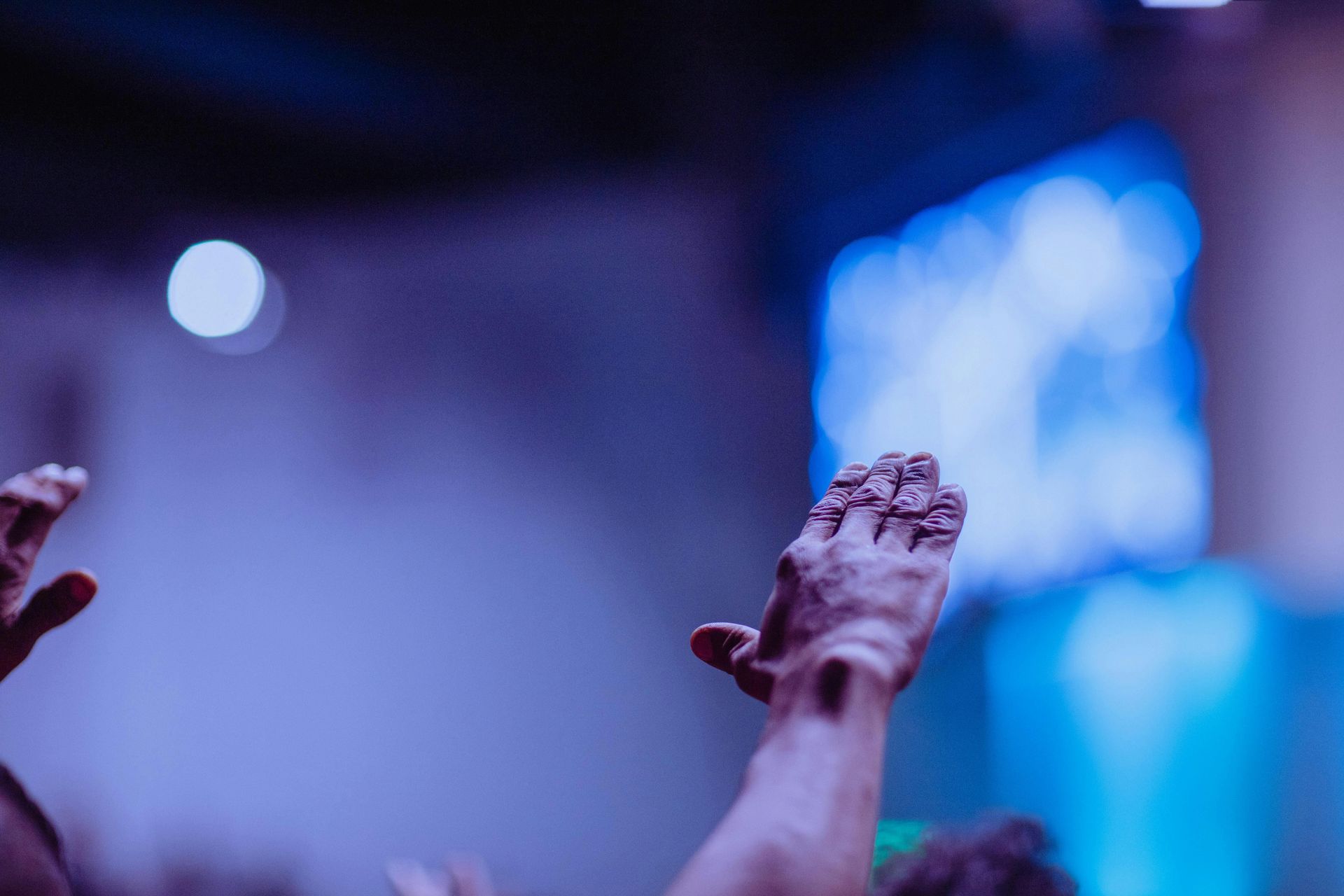 A group of people are raising their hands in the air at a concert.