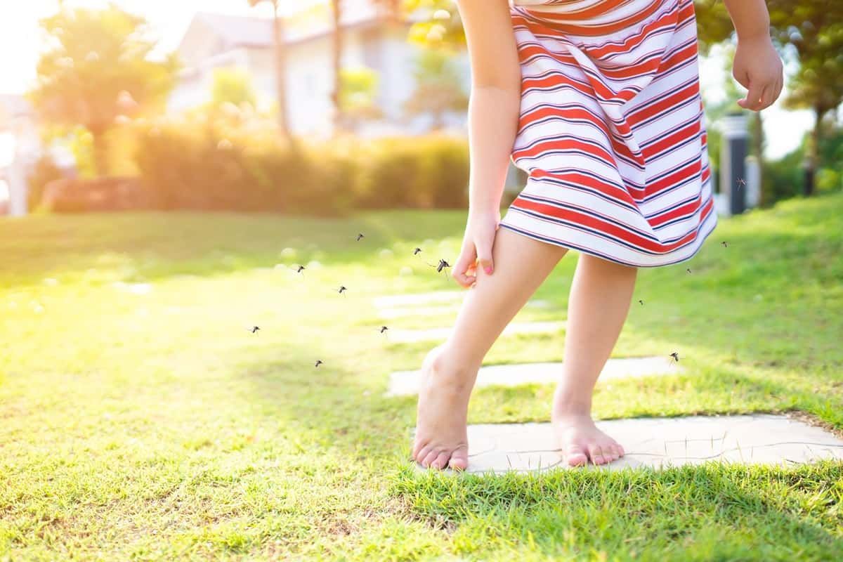 mosquitoes buzzing around a backyard, and a little girl scratches a bite on her leg near Lexington, KY